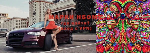 прущие грибы Алексеевка