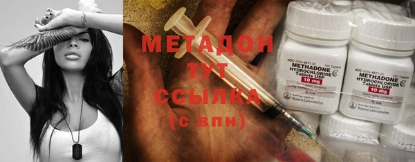 прущие грибы Алексеевка