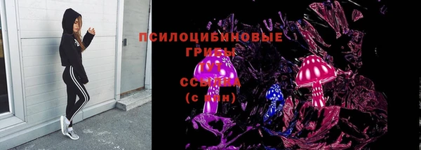 стаф Арсеньев