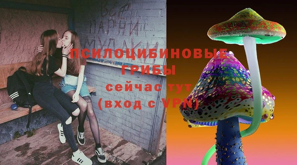 mdpv Алексин